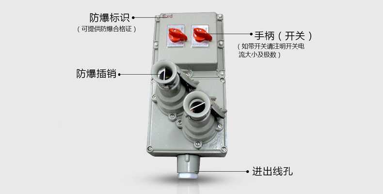 BXX51ϵ�з����z���Դ��