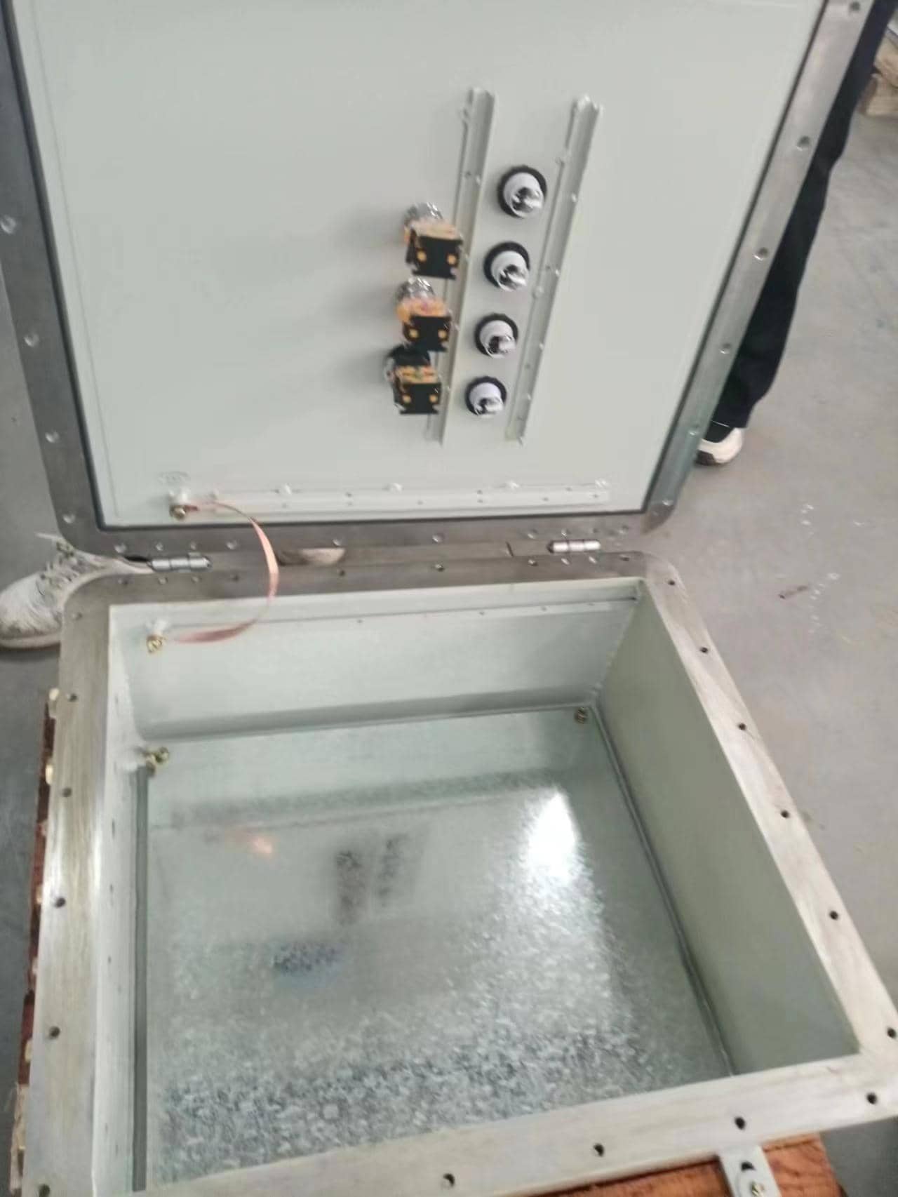 ���������䚤�w���ӹ����N���|(zh��)��