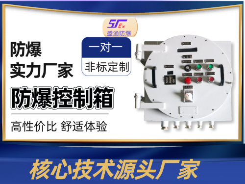 �C������������_�������������